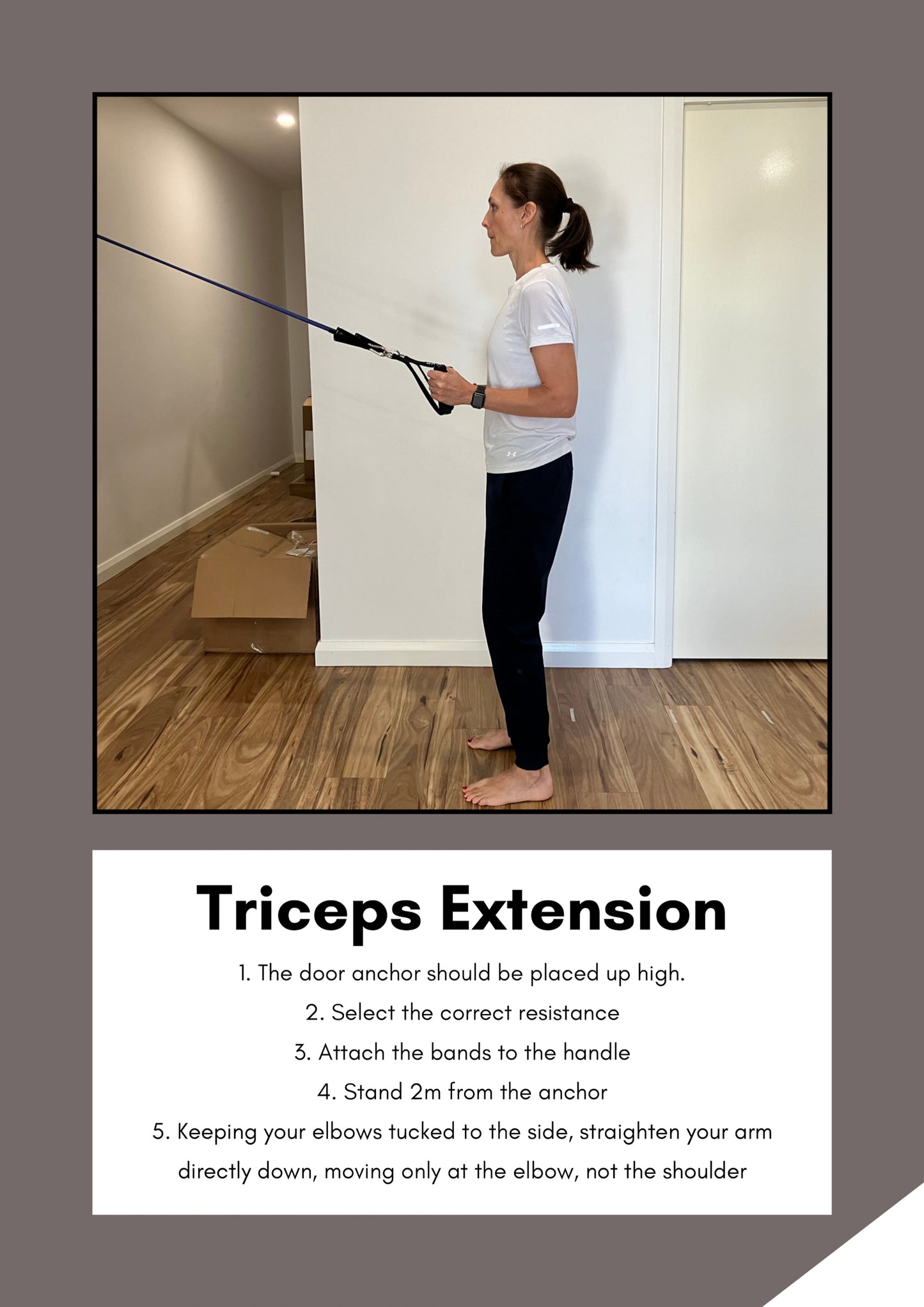 Precision Resistance Band Kit